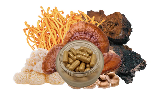 Psiloshop - Cogumelos Medicinais