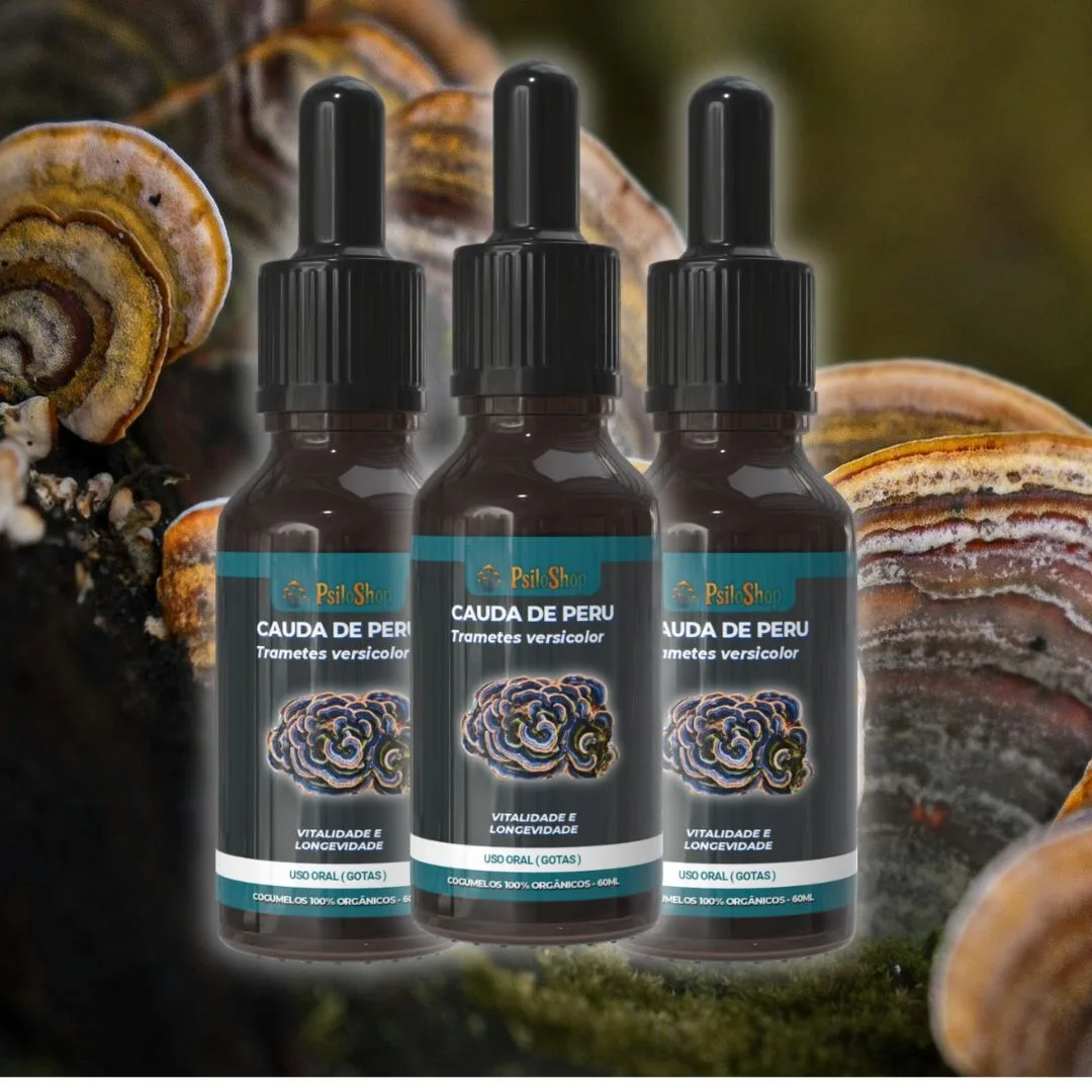 Extrato Cauda de Peru (Trametes versicolor) 60ml - 3 Frascos