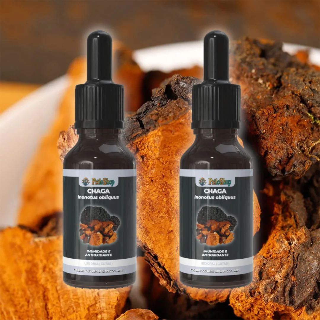 Cogumelo Chaga