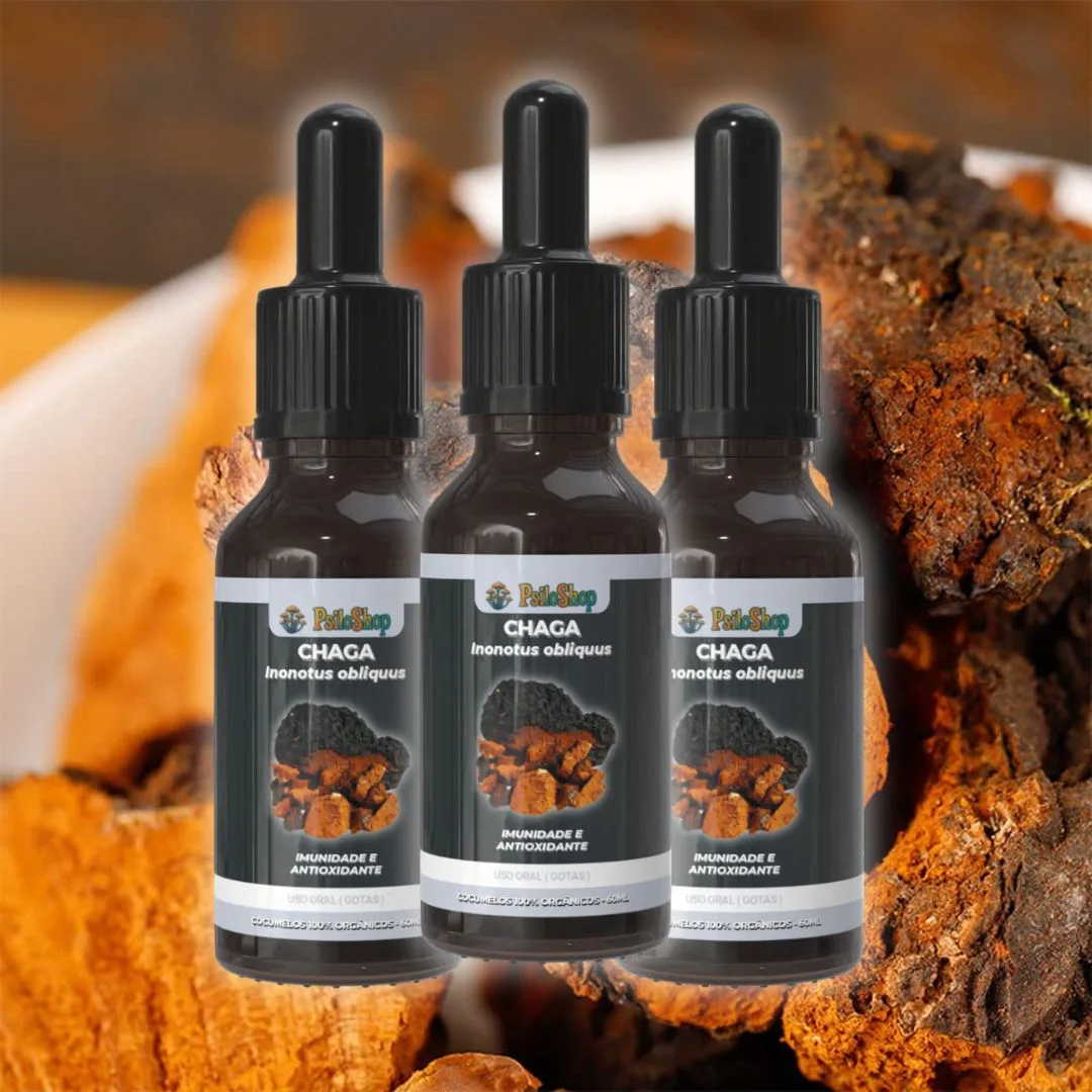 Cogumelo Chaga